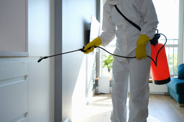 Best Certified Mold Removal  in Windsor Heights, IA