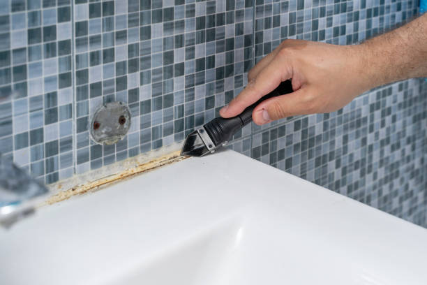 Mold Testing and Removal in Windsor Heights, IA